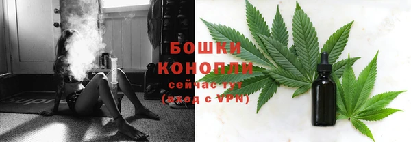 бутират Белокуриха