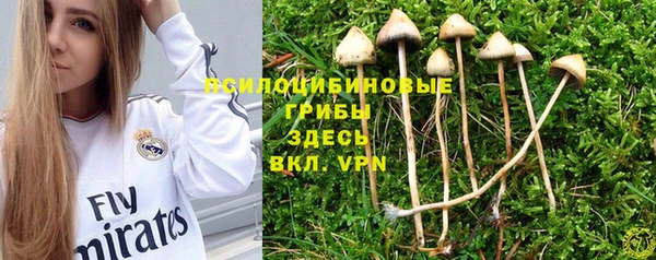 бутират Белокуриха